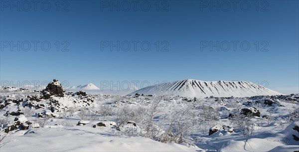 Snowy landscape