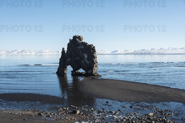 Hvitserkur