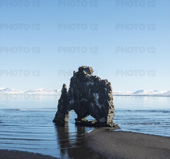 Hvitserkur