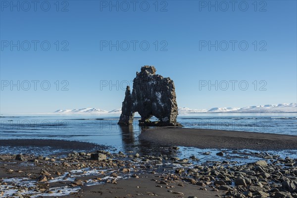 Hvitserkur