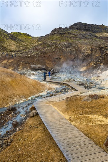 Boardwalk over steaming ground