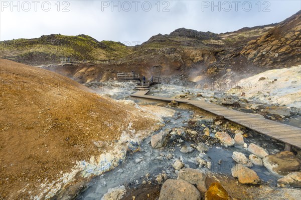 Boardwalk over steaming ground