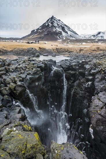 Water coming out of blowhole