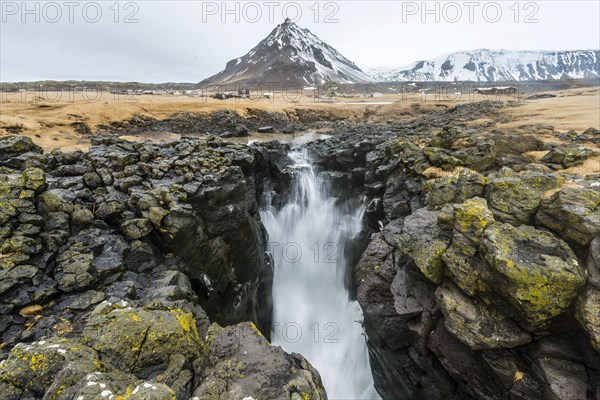 Water coming out of blowhole