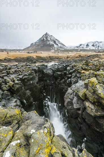 Water coming out of blowhole