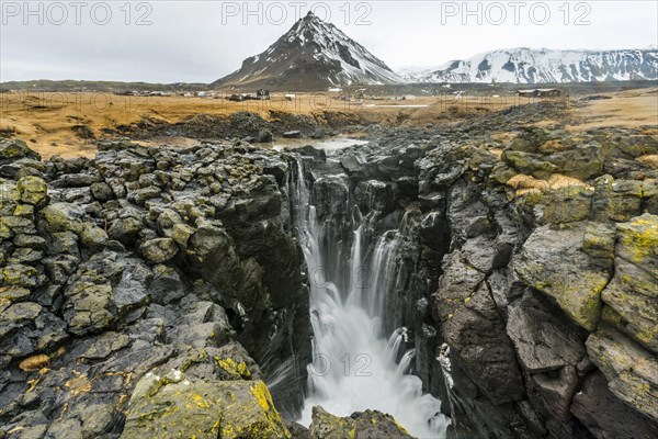 Water coming out of blowhole