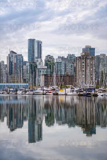 Skyscrapers and sailboats in the marina