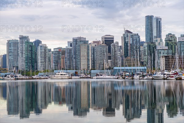 Skyscrapers and sailboats in the marina