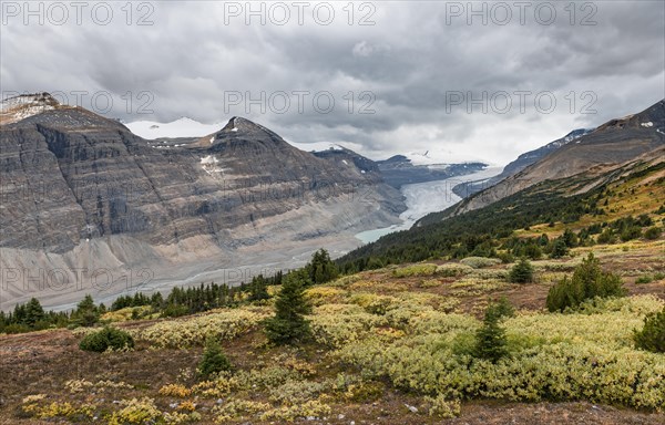 View in valley with glacier tongue