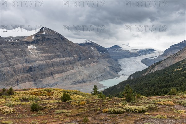 View in valley with glacier tongue