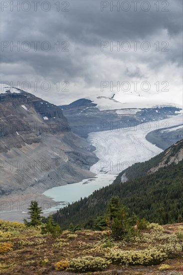 View in valley with glacier tongue