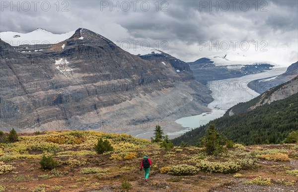 View in valley with glacier tongue