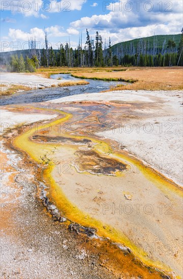 Colorful soil