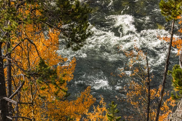 Yellowstone River