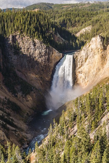 Lower Falls