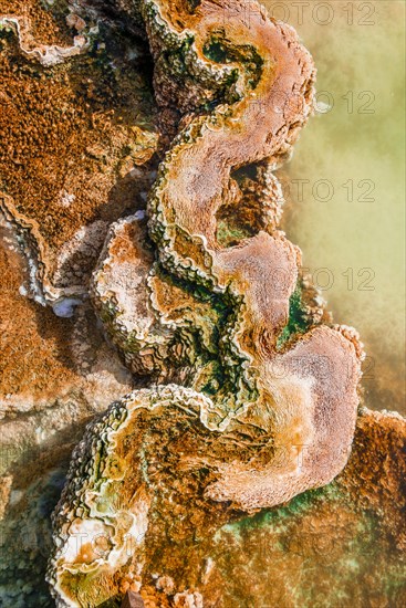 Detail photo