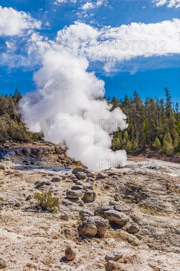 Steamboat Geyser