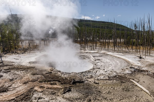 Geysir