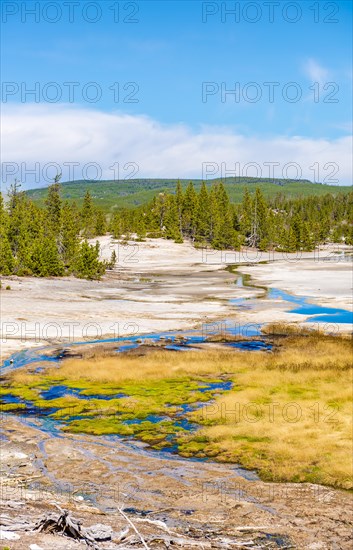 River in the Norris Back Basin