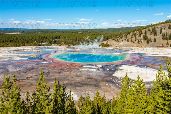 Visitors on footbridge over steaming hot spring with coloured mineral deposits