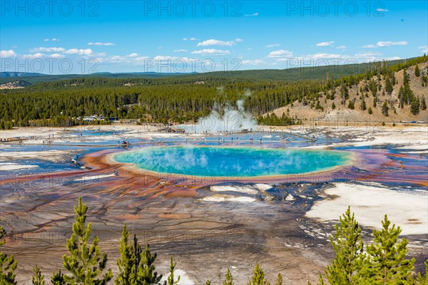 Visitors on footbridge over steaming hot spring with coloured mineral deposits