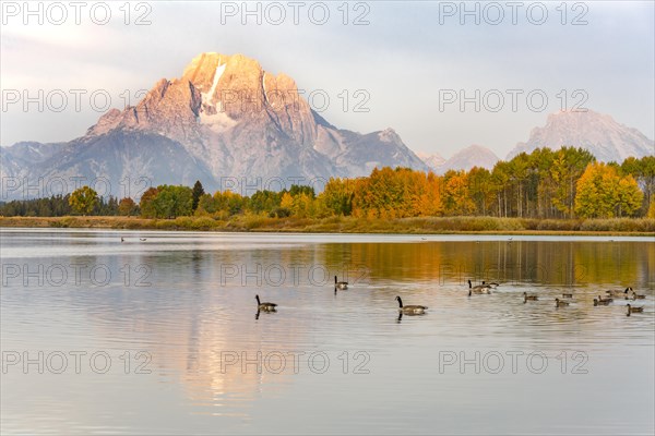 Mount Moran reflected in Snake River