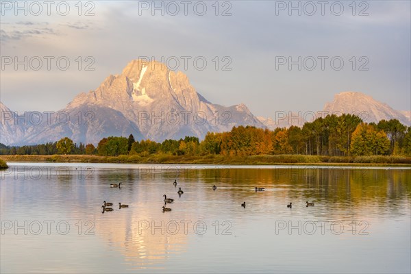 Mount Moran reflected in Snake River