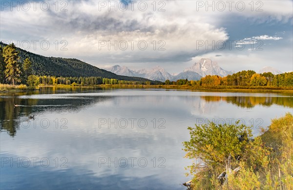 Mount Moran reflected in Snake River