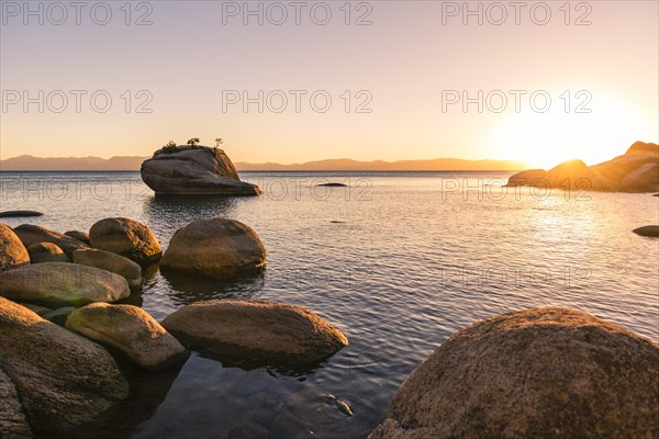 Bonsai Rock