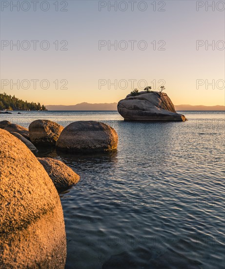 Bonsai Rock