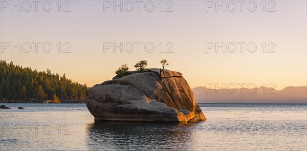 Bonsai Rock