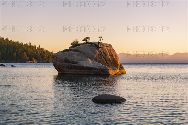 Bonsai Rock