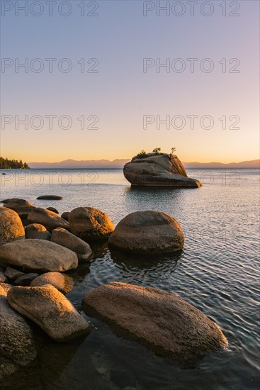 Bonsai Rock