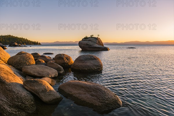 Bonsai Rock