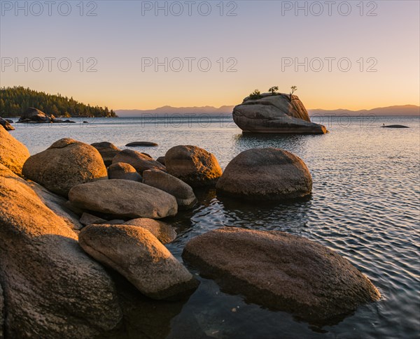 Bonsai Rock