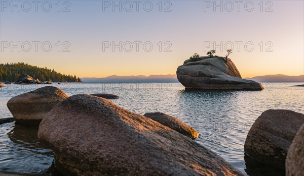 Bonsai Rock