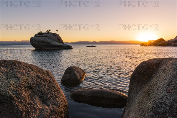 Bonsai Rock