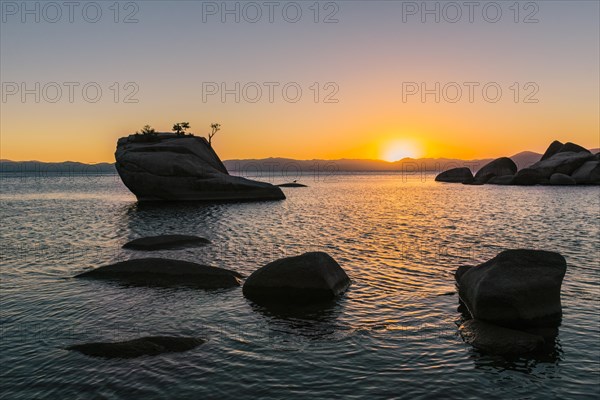 Bonsai Rock