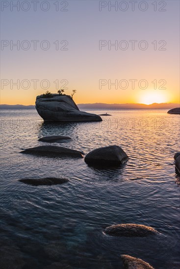 Bonsai Rock