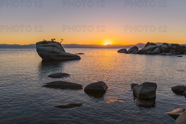 Bonsai Rock