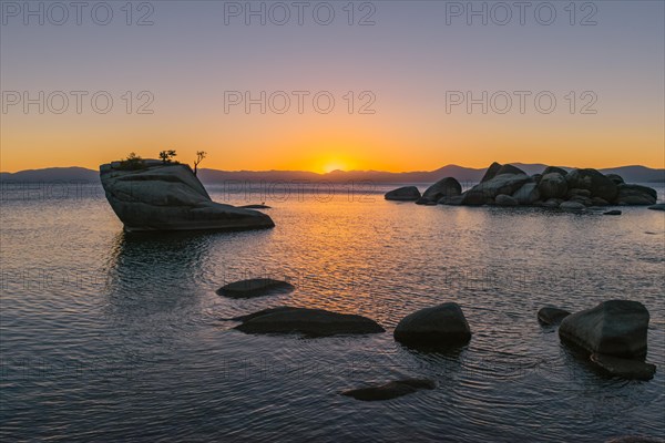 Bonsai Rock