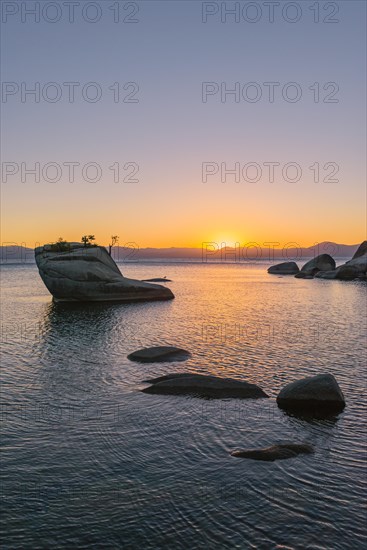 Bonsai Rock