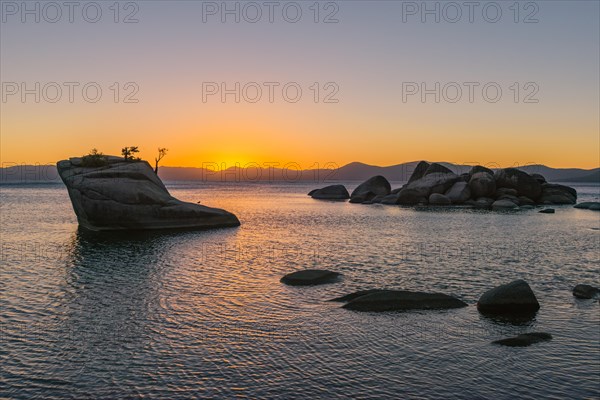 Bonsai Rock