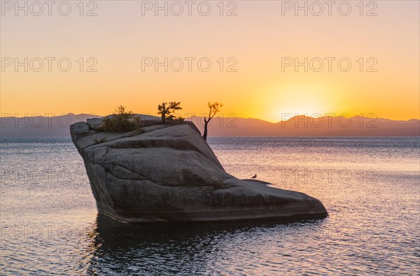 Bonsai Rock