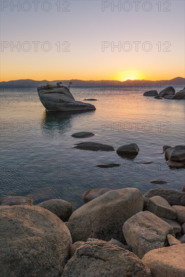 Bonsai Rock