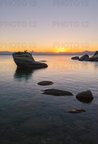 Bonsai Rock