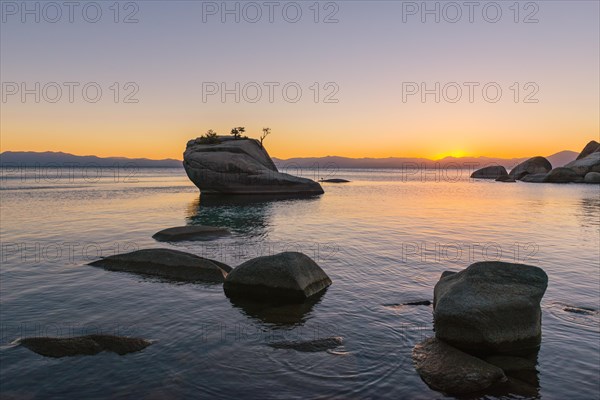 Bonsai Rock