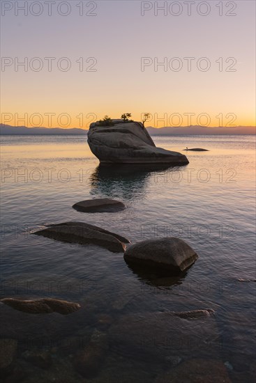 Bonsai Rock