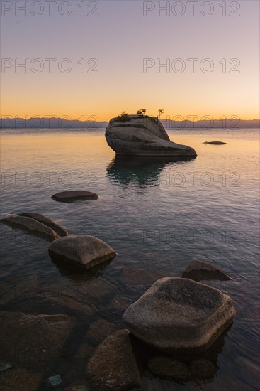 Bonsai Rock