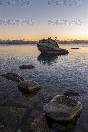 Bonsai Rock